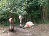 IMG_2860.JPG (656656 bytes)