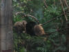 IMG_2899.JPG (478449 bytes)