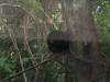 IMG_2900.JPG (422974 bytes)