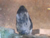 IMG_2953.JPG (316305 bytes)