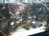 IMG_2972.JPG (532010 bytes)
