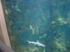 IMG_3035.JPG (319501 bytes)