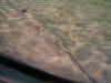 IMG_3053.JPG (351145 bytes)