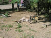 IMG_3098.JPG (633897 bytes)